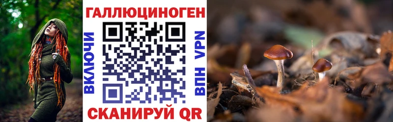 Псилоцибиновые грибы мицелий  блэк спрут   Луза 